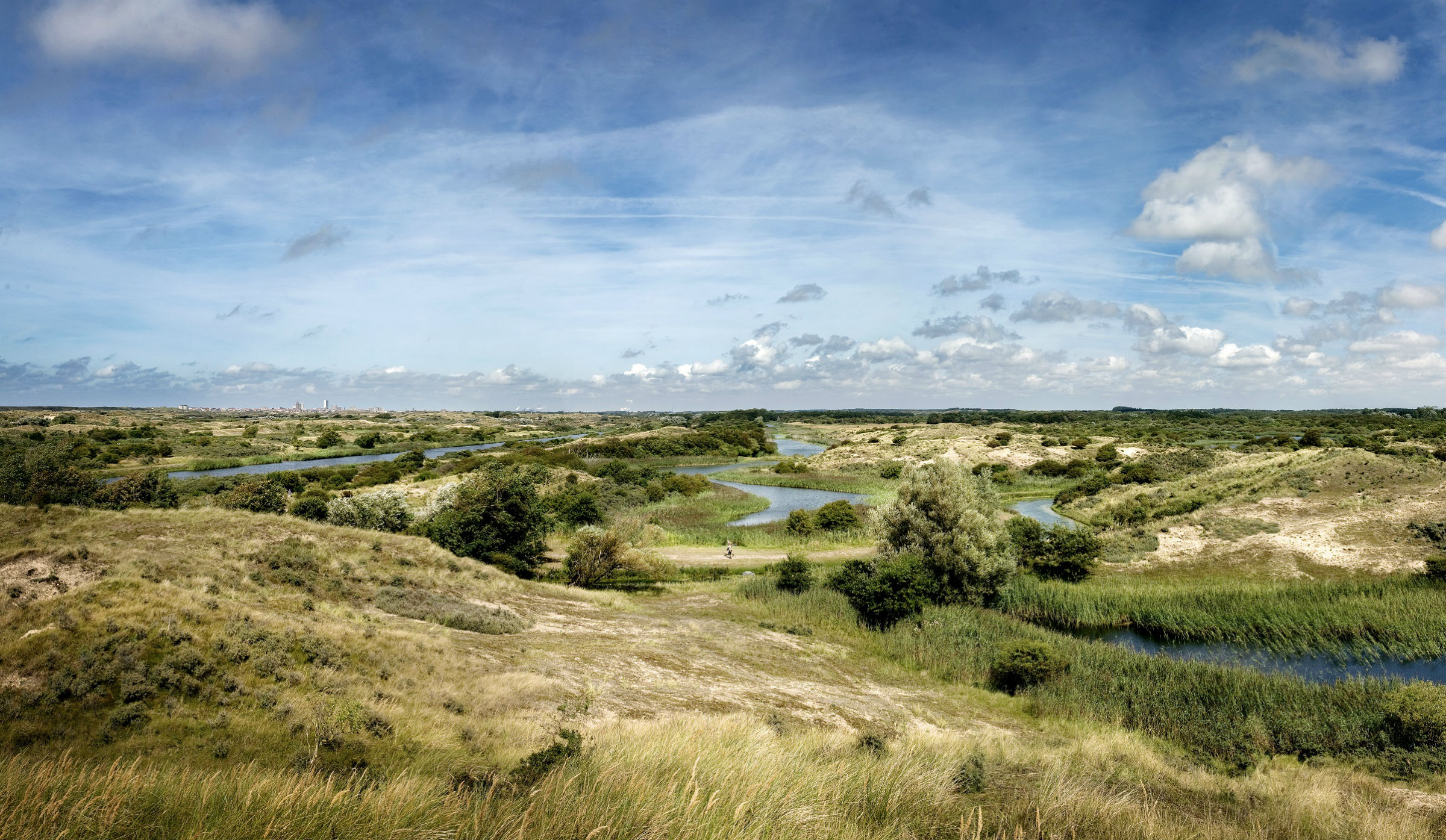 Amsterdamse waterleidingduinen
